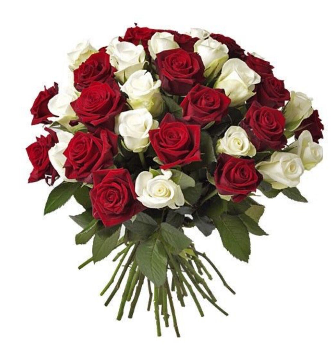 Les Roses Poétiques (temporaire) Les Roses Poétiques - photo provisoire (ancien site)
