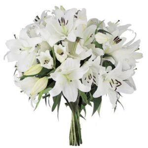 Bouquet de Lys Blanc - photo provisoire (ancien site)