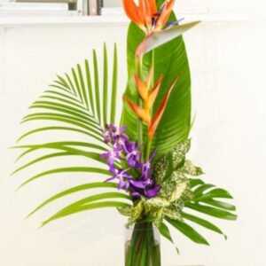 L’Éclat Tropical - photo provisoire (ancien site)