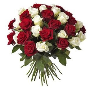 Les Roses Poétiques - photo provisoire (ancien site)