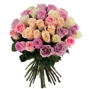 Les Roses Tout en Couleur - photo provisoire (ancien site)